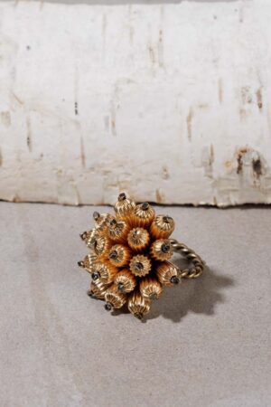 Cluster Ring
