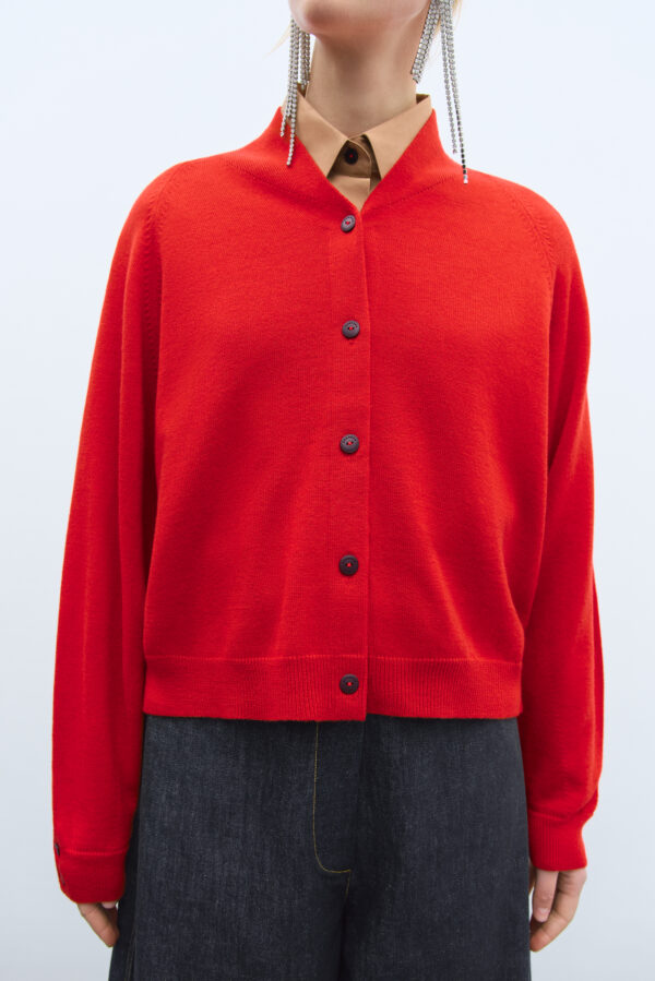 Merino Wool Cardigan