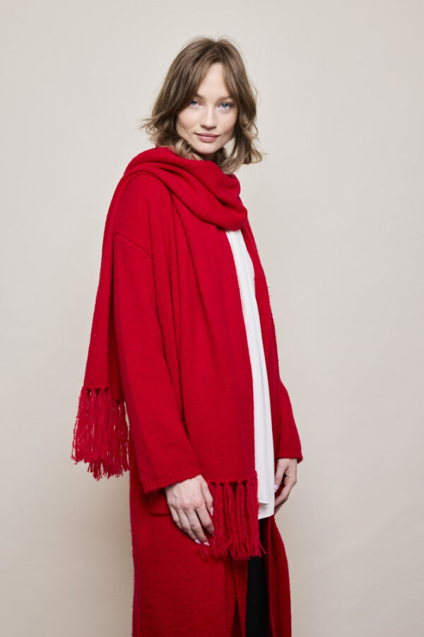 Wiatt Fringe Scarf - Image 2