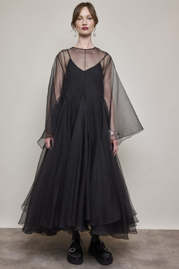 Sheer Dress