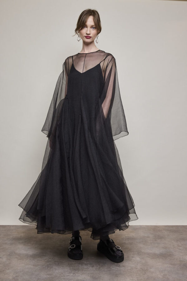 Sheer Dress - Image 3