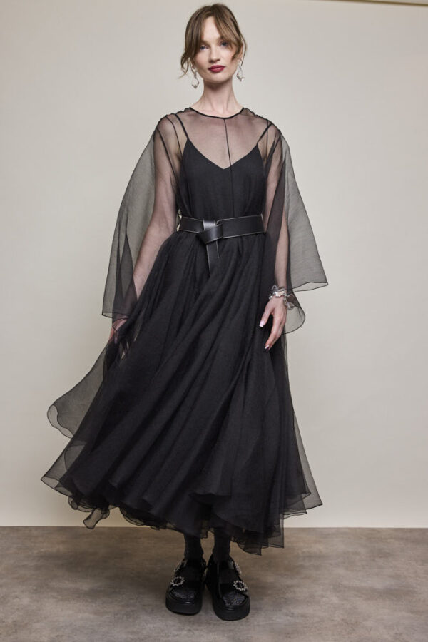 Sheer Dress - Image 5