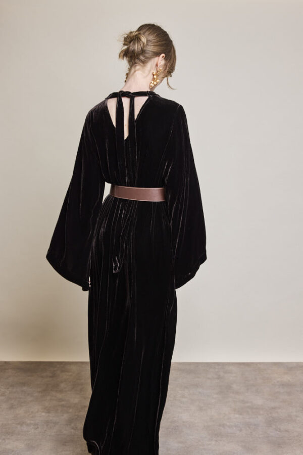 Tie Neck Velvet Dress - Image 5