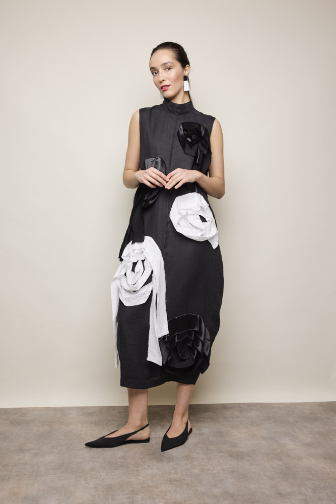 Rose Embellished Dress